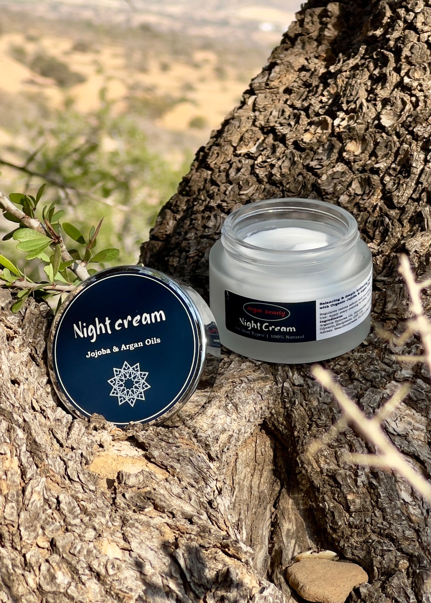 Night cream